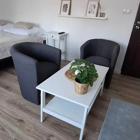 Mini Apartamenty Lubelska Puławy Exterior foto